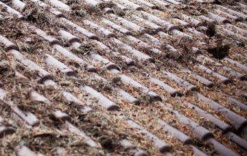 Angarrick roof cleaning companies